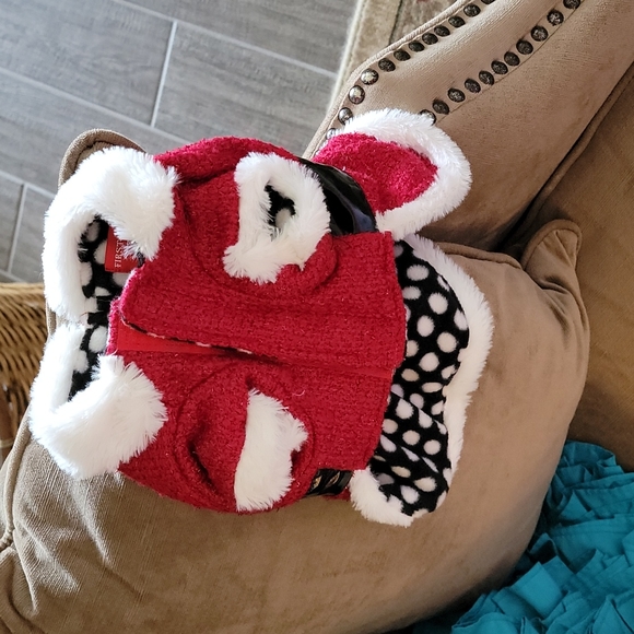 Dog outfit - Picture 6 of 6